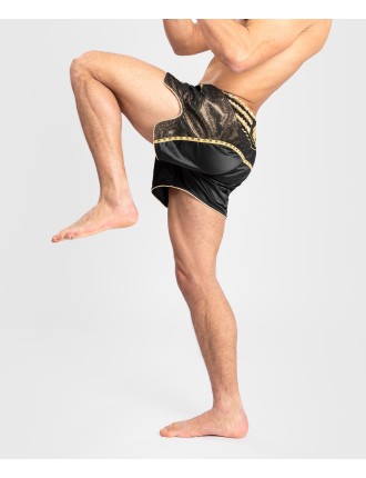 Top Choice Venum Absolute 2.0 Muay Thai Shorts - Black/Gold New Release